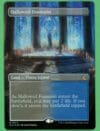 Magic the Gathering Hallowed Fountain (Ravnica Clue Edition) 0277