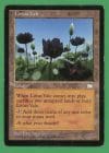 Lotus Vale MTG Weatherlight Land MP