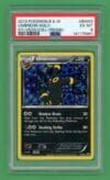 Umbreon Pokemon Black & White Holo Promo BW93 PSA 6